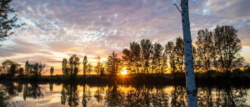 Deluxe room Sunset with tree reflections on calm lake