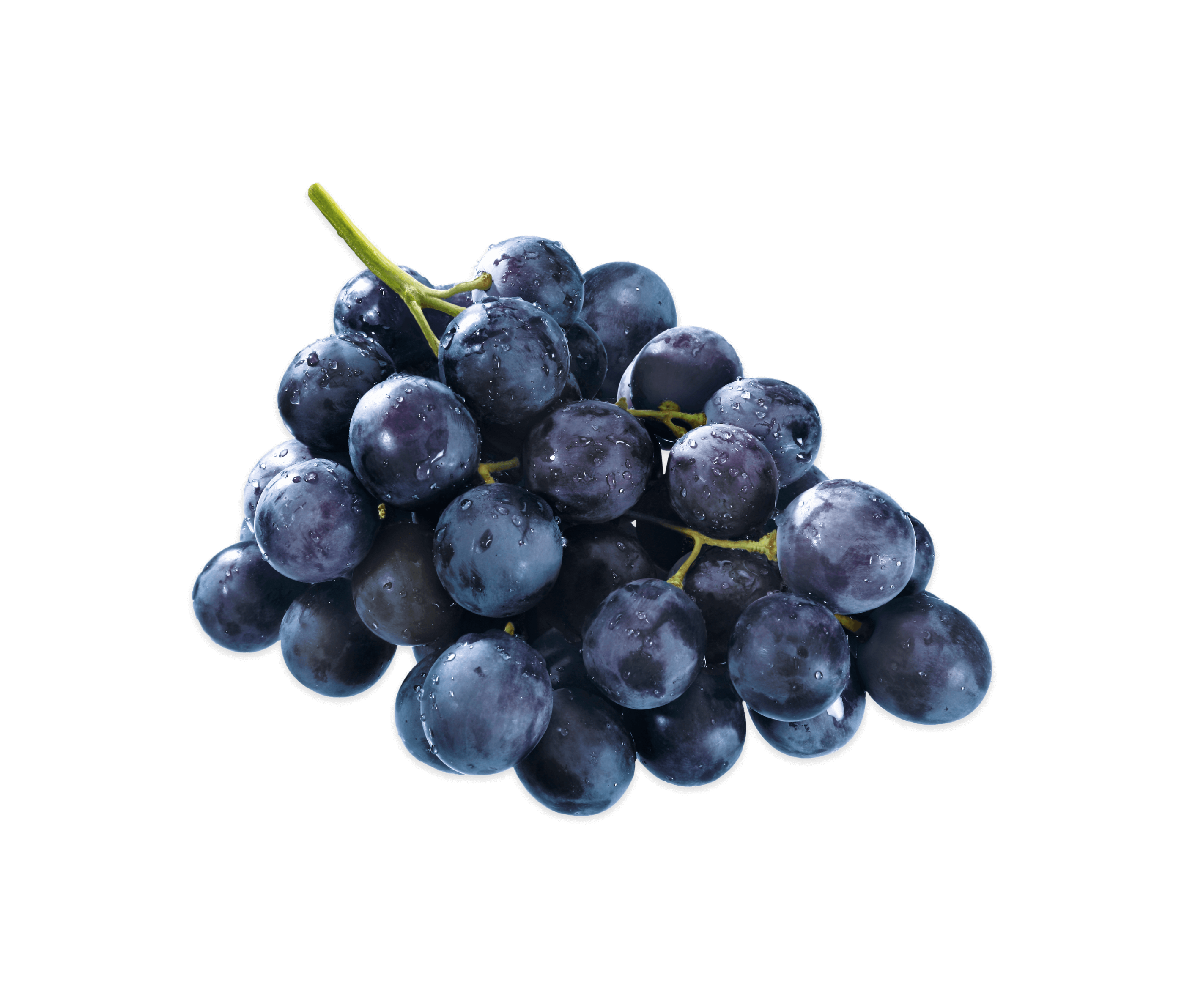 La missione di Valle di Assisi Grappolo di uva nera con gocce d'acqua su sfondo nero
